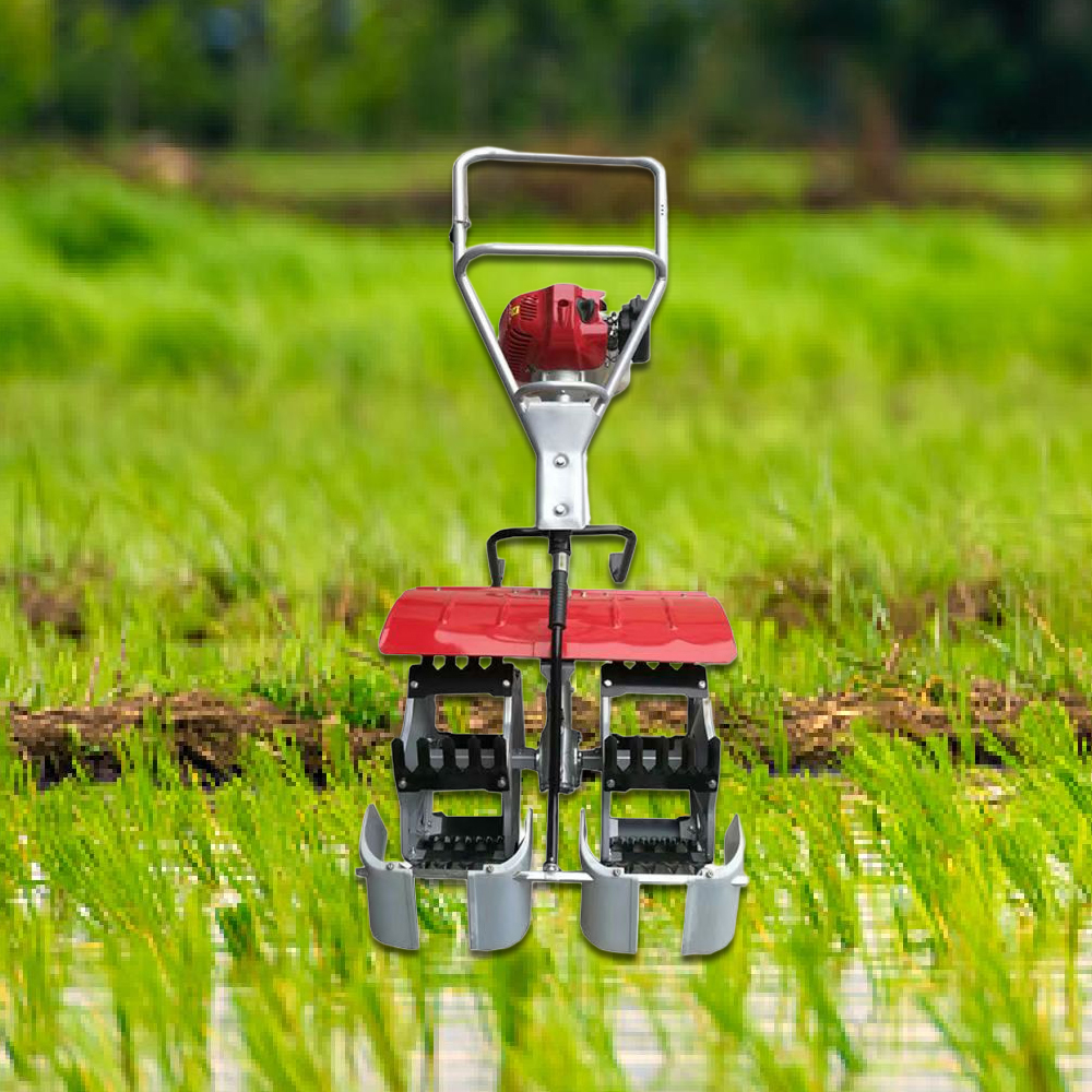 Revolutionizing Paddy Weeding: What Buyers Care About Most in Rice ...